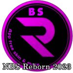 NBS Reborn 2023 logo