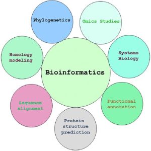 Biotechnology and Bioinformatics researchBiotechnology and Bioinformatics research